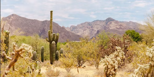 Adaptive Arboretum at Tohono Chul Now Open, Arboretum on Tap Series Debuts Oct. 3