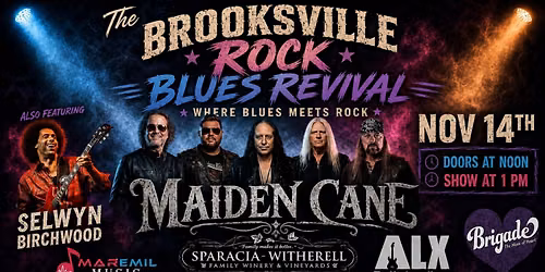 Brooksville Rock Blues Revival Festival