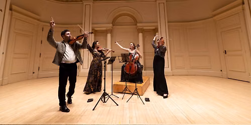 Carpe Diem String Quartet: Pareidolia