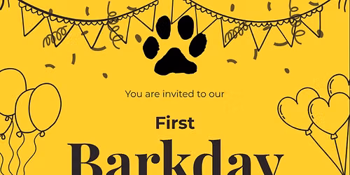 Playful Pack's First Barkday Celebration