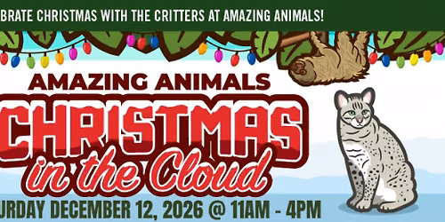 Christmas in the Cloud