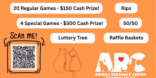 Black Cat Bingo Bash: Building Purradise!