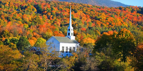 Stowe Scarlet Leaf Challenge