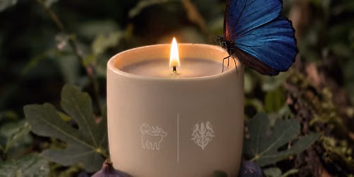 Studio Qiling x Scent Journer - A Day in Fig & Forest
