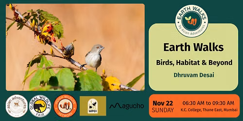 Birds, Habitat & Beyond