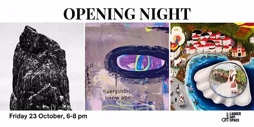 Exhibitions' Opening Night | Ladder Art Space, Melbourne