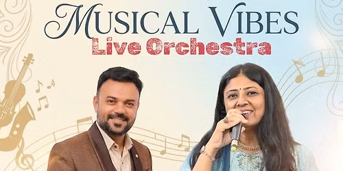 Musical Vibes Live Orchestra