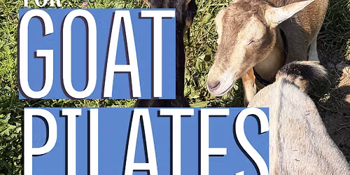Goat Pilates with Kaylin Byrd