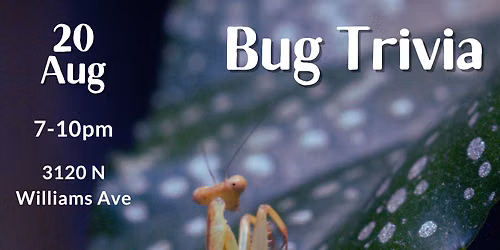 Bug Trivia Night