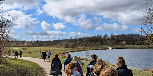 The Butterfly Effect Business Club - Womens Netwalking Event