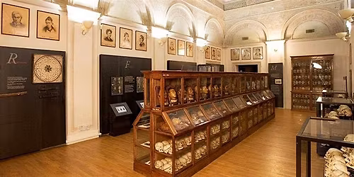 Visita al Museo di Antropologia Criminale \u201cCesare Lombroso\u201d