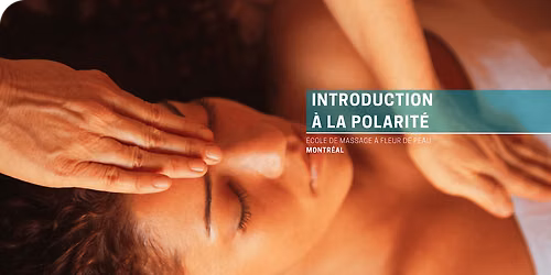Introduction \u00e0 la polarit\u00e9