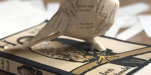 Paper mache bird making