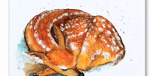 Paint forest animals with watercolour