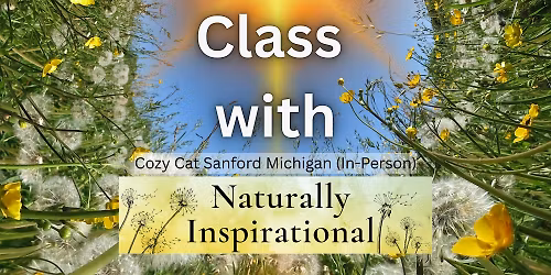 Sunshine and Blooms: The Dandelion Experience at Cozy Cats Cafe