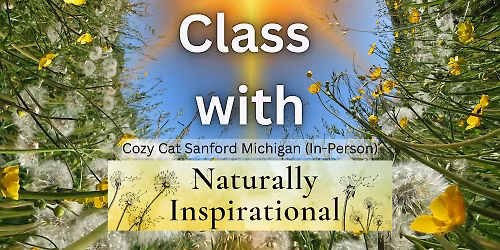 Focus and Study Essential Oil Rollers at Cozy Cats Cafe