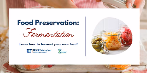 Fermentation Class