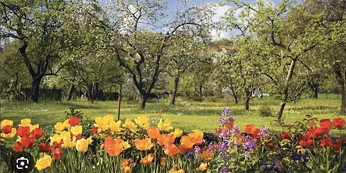 WSM Sweet Spring Social