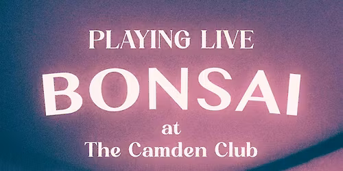 Incredible Bondai with Fat Vince