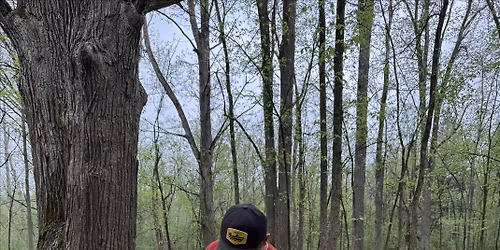 Preserve Stewards: Tree Care