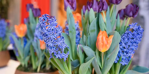 Nowruz Traditions from Across Asia