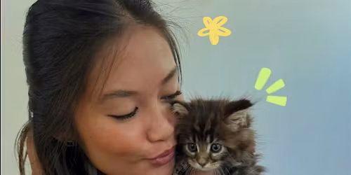 \u2b50ALMOST SOLD OUT\u2b50  Purr-lates: Pilates with Adoptable Kittens in Chicago