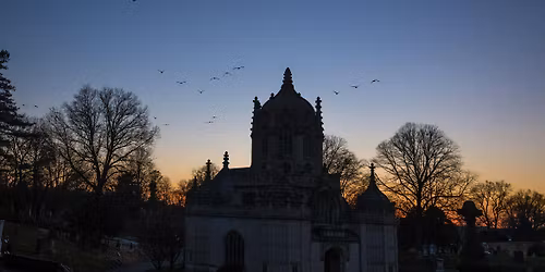 Bugging Out at Night!