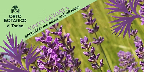 VISITA GUIDATA ORTO BOTANICO DI TORINO speciale 100 PIANTE UTILI ALL'UOMO