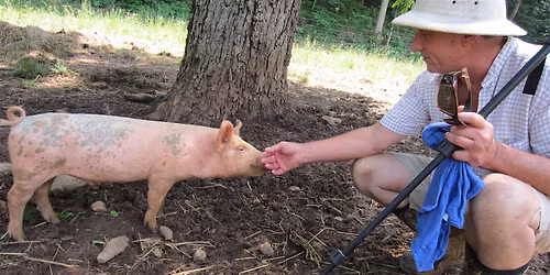 Pastured Pork Workshop: Rooted In Success