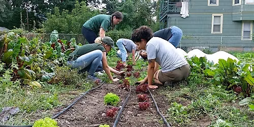 Saturday Volunteer & Learning Day on the Souper Farm 7.11