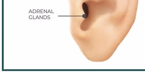 Reduce Stress with Ear Seeds Workshop