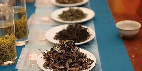 Chinese Tea Tasting