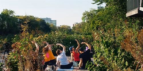 Yoga on the Wild Mile