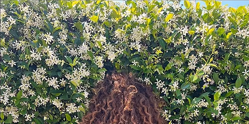 Abolitionist Tea Party led by jackie sumell of Solitary Gardens