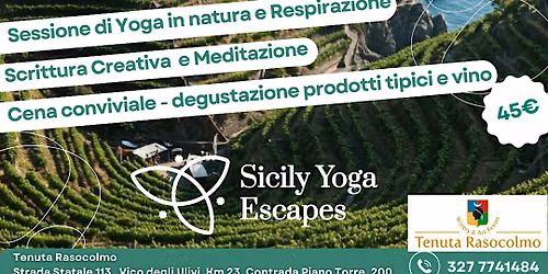 Yoga al Tramonto in Vigneto con Cena Conviviale