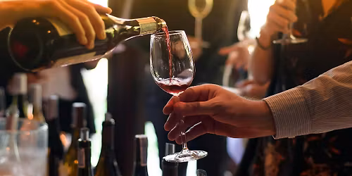 Stop & Sip: Wine Tasting Bar