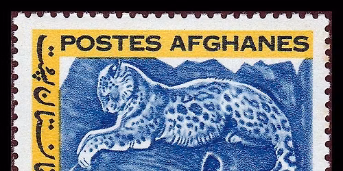 AFG.404 calligraphy WORKSHOP