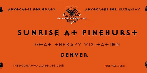 Goat Walkabouts - Sunrise at Pinehurst