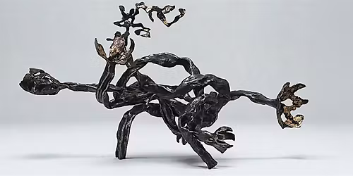 Artspace of the Americas presents Elegance of Complexity