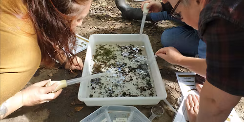 Riverfly Taster Evening -  Chellow Dean Wetlands