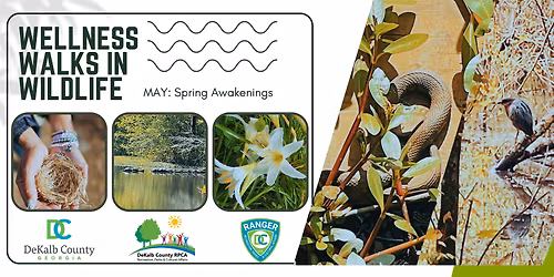 WWiW-SRT: Spring Awakenings ~The Edge of Emergence