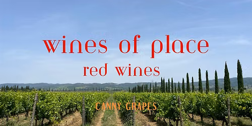 WINES OF PLACE - The RED WINE Edition