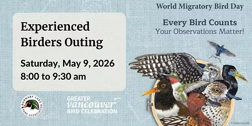 World Migratory Bird Day Guided Outing - Spring 2026 - Experienced Birders