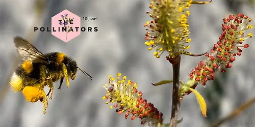 10 jaar The Pollinators feest! met special guest Dave Goulson