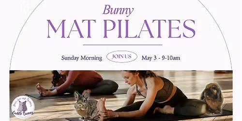 Bunny Mat Pilates