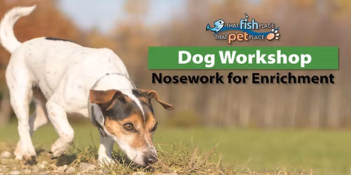 Dog Workshop: Nosework for Enrichment!