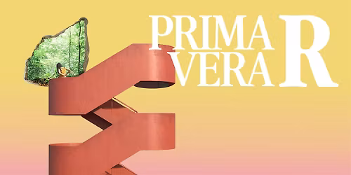 Primavera R 2026 | Site Visit - MOMU Espai T\u00e8xtil (15 May)