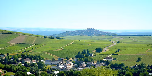 Introduction to the wines of the Loire Valley