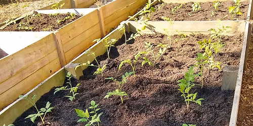 Community Edible Gardening Event