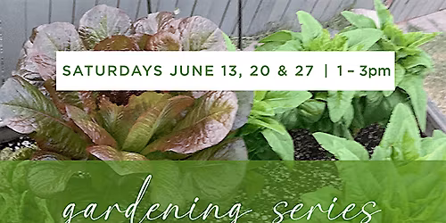 Gardening Series: The Regenerative Way with Susan Stoltz